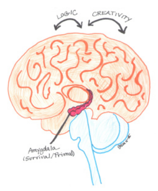 The primal brain — or amygdala